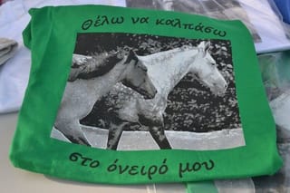 ΣΘΙΕ- θέλω να καλπάσω στο όνειρο μου