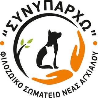 logo-siniparxo