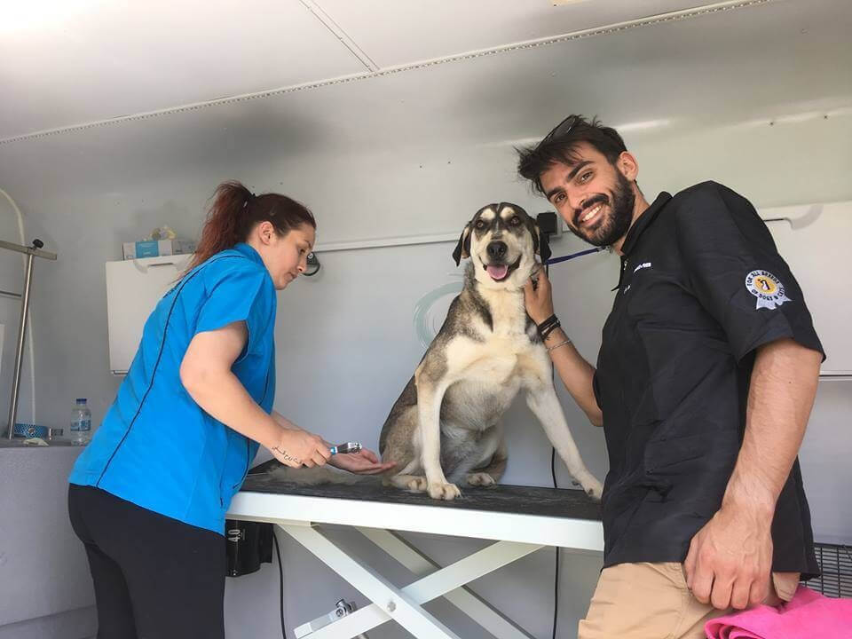 ΖΕΗ - φροντίδα σκύλου και χαμόγελα στο φορτηγάκι της Bubble Van