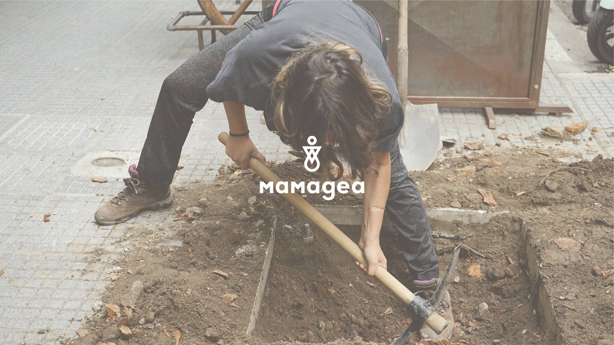 mamagea_header
