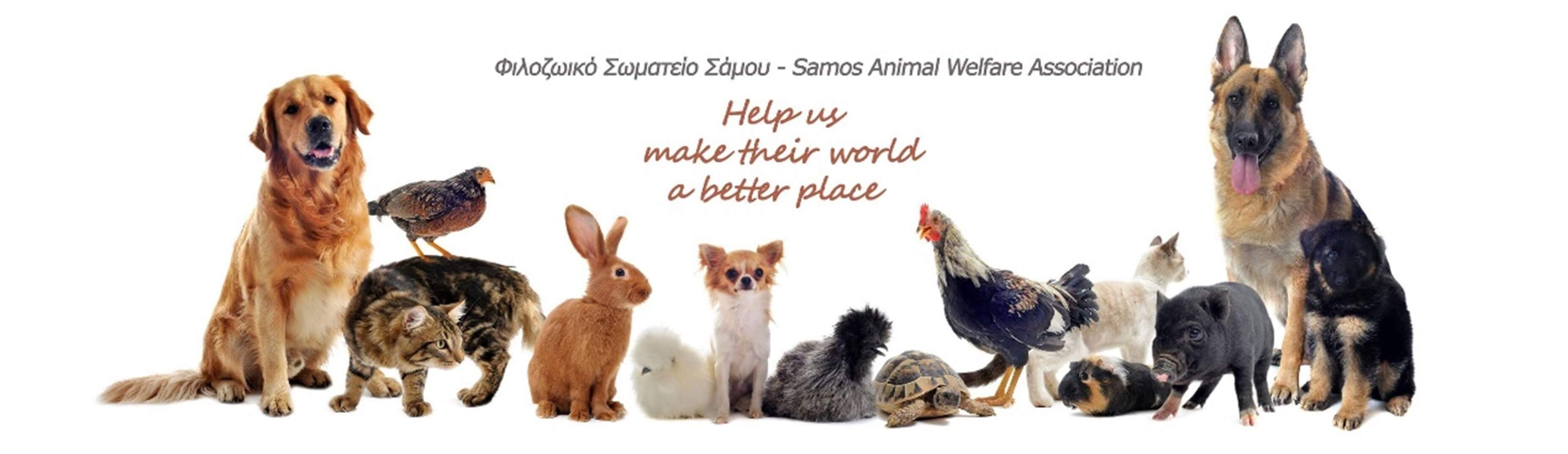 SamosAnimalWelfareAssociation_header_image