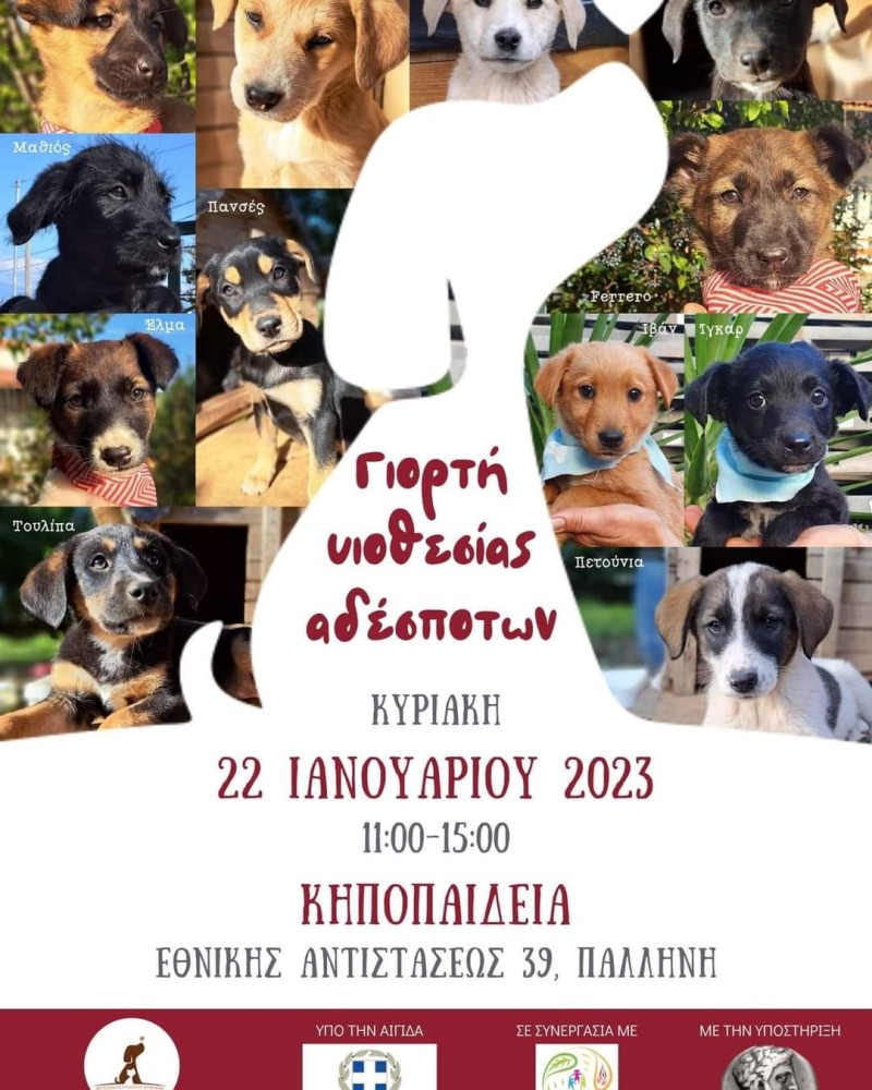 filozoikos-sillogos-aigialias-ta-filarakia-1262