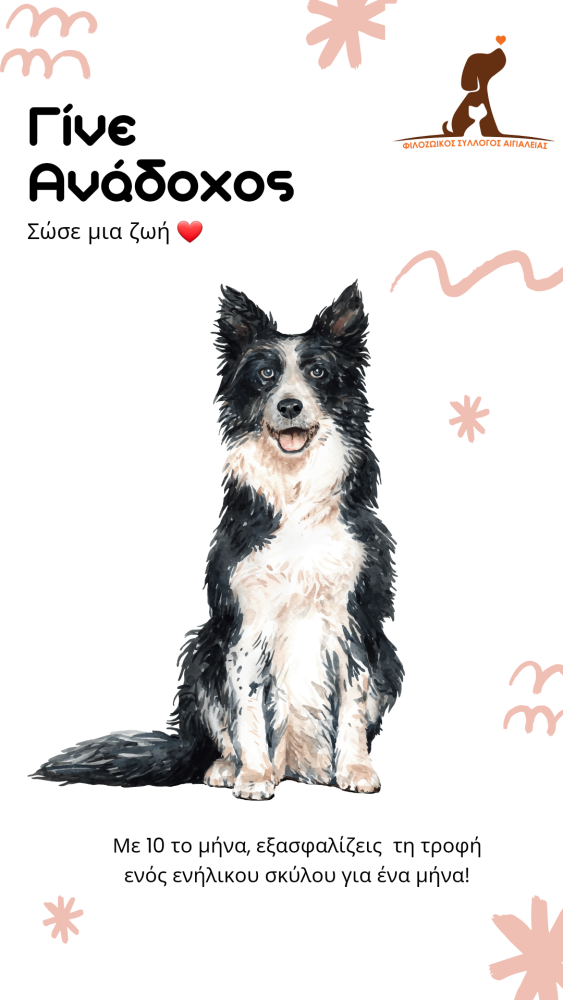 filozoikos-sillogos-aigialias-ta-filarakia-1264