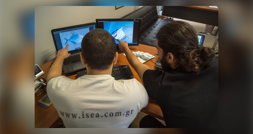 isea.com.gr δράση στην παραλία, ξενικά είδη και οδηγίες | YouBeHero