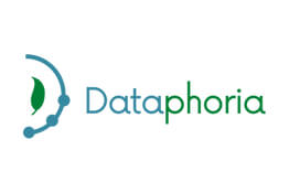 Dataphoria logo